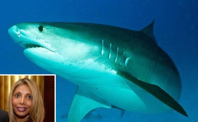 美国纽约华尔街基金女经理到哥斯达黎加潜水遭虎鲨撕咬惨死
