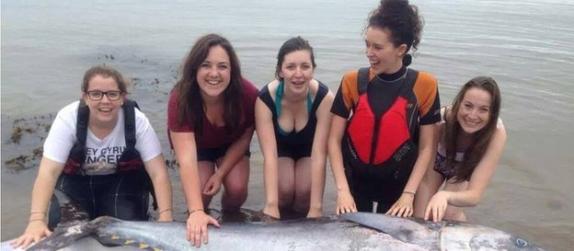 英国5名女大学生到海边玩皮艇捡到珍贵黑鲔鱼（蓝鳍金枪鱼）