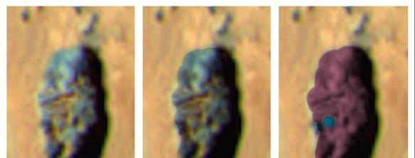 UFO专家华林以前称，他在美国宇航局的一张旧照片中发现生命迹象。这张照片是美国宇航局第一辆火星车――索杰纳火星车拍到的。这个探测器在1997年7月4日登陆火星。