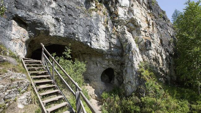 考古学家在西伯利亚一个洞穴里发现一枚7.6厘米长的针，其历史可追溯至5万年前，是用远古鸟类骨骼制成的，推测是由丹尼索瓦人制造而成。