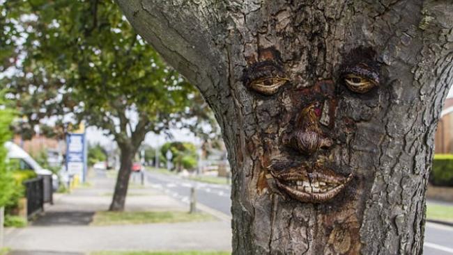 英国肯维岛一夜之间出现“人脸树”