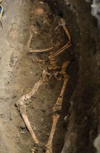 佛罗伦萨贵妇丽莎-盖拉尔迪尼的疑似遗骸。目前，考古学家正对遗骸进行DNA检测。很多人认为盖拉尔迪尼就是蒙娜丽莎的原型。如果DNA匹配，考古学家将利用头骨和《蒙娜