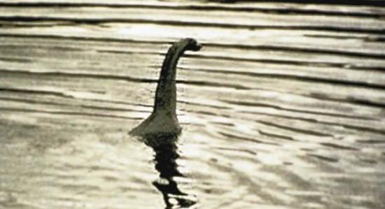 目前有许多理论描述了尼斯湖水怪的存在。这些理论衍生出一些著名照片，例如上面这张。众多最被人接受的理论之一是这个怪物实际上是一条最长可到12英尺（约合3.6米）的