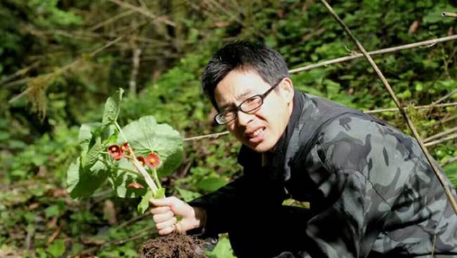 四川北川县小寨子沟国家级自然保护区发现一种新的植物：北川驴蹄草
