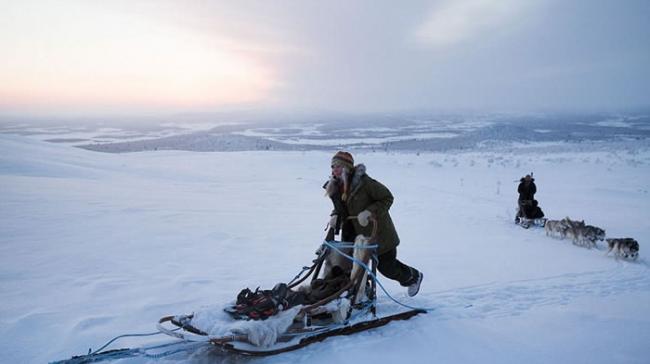 芬兰女子Tinja Myllykangas因向往荒野抛弃都市生活 85只哈士奇相伴以北极为家