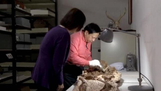 台湾考古学家在台中挖掘出4800年前的母子相拥人类遗骸