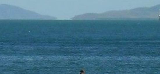 澳大利亚昆士兰州北部磁岛海面出现海怪？