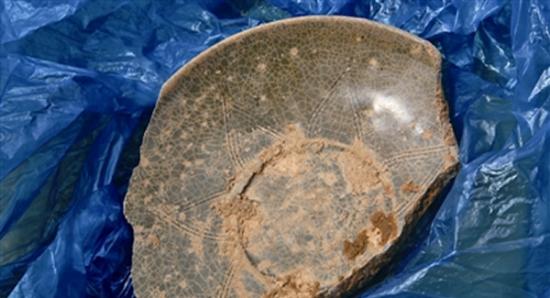 3月16日，瓯海郭溪六朝古墓挖掘出一个破损的青瓷碟，表面有精致的花纹。