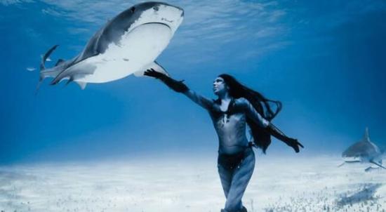 英国模特在巴哈马与世界上最危险的鲨鱼物种“虎鲨”翩翩起舞