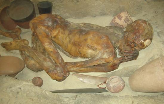 5500年前木乃伊检测出真实死因：被凶手从背后刺杀身亡