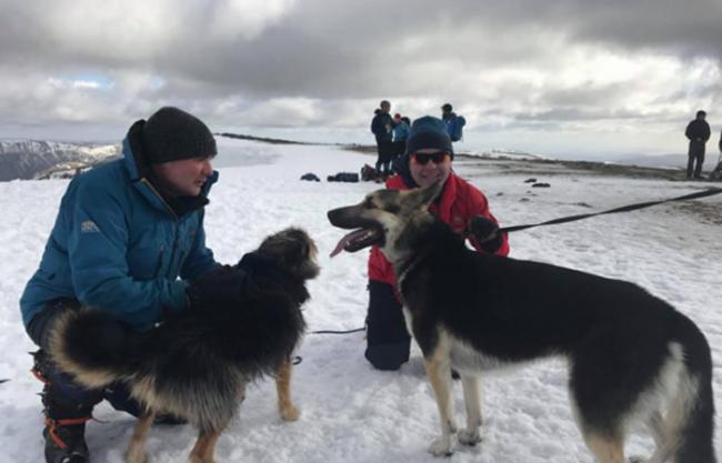 英国登山客斯科特(Scott Pilling)冒险登山，为陌生人找回走失的狗狗。