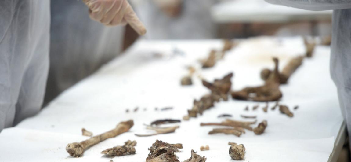 西班牙马德里研究团队宣布发现《唐吉诃德》作者塞万提斯(Cervantes)的骨骸