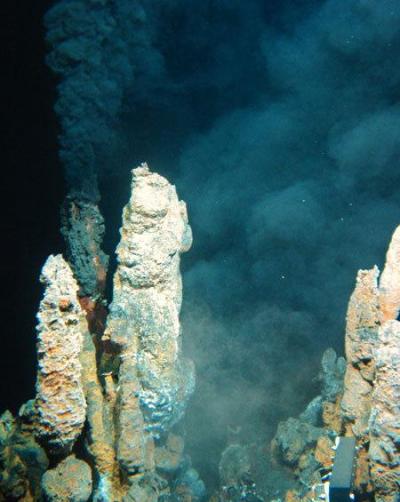 研究指出现今地球上所有的生命形式都起源于海底的火山口