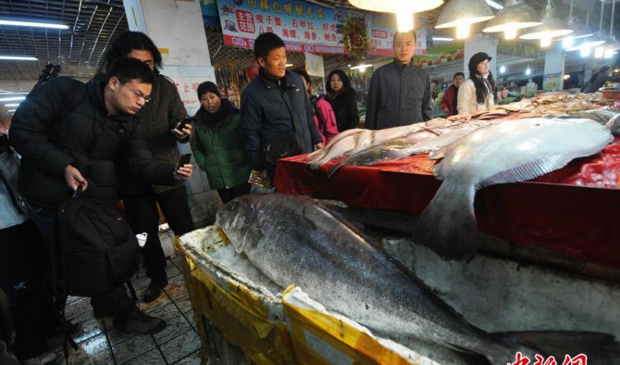 渔民在渤海湾捕获重达100余斤的巨型“怪鱼”