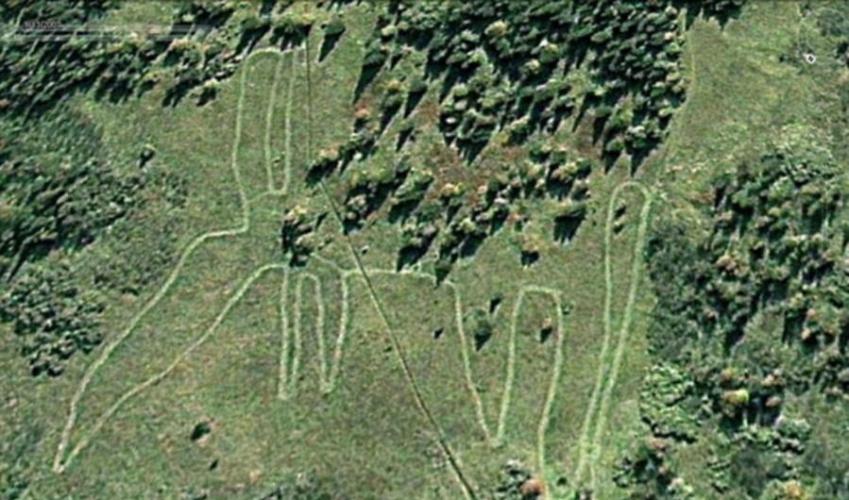 图中是俄罗斯乌拉尔山脉Zjuratkul湖旁发现的动物外型石质结构，考古学家认为其历史早于秘鲁的纳斯卡线条。