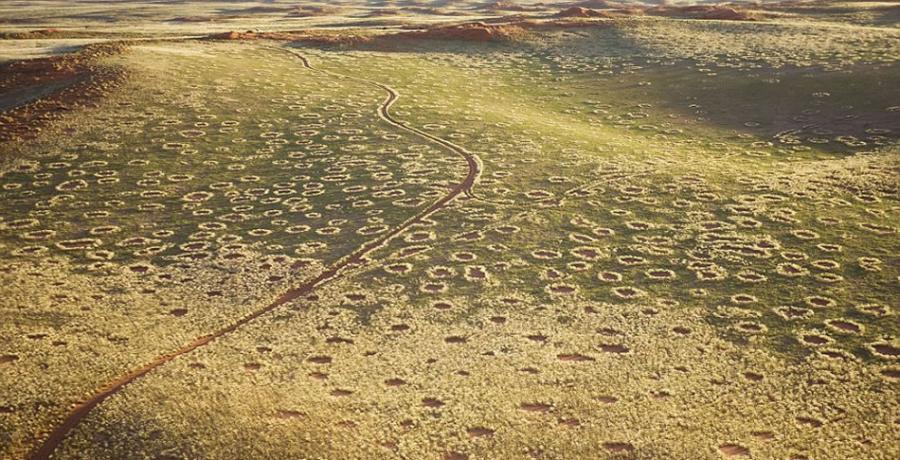 在2010年到2014年期间，德雷斯勒曾3次乘坐热气球或小飞机访问纳米布荒漠，并拍摄到大量“精灵怪圈”照片