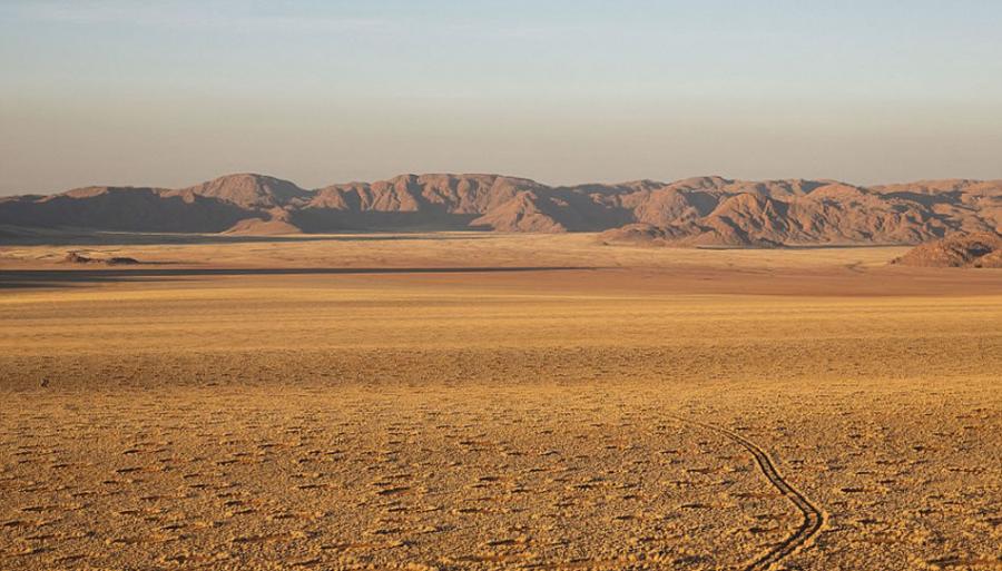 “精灵怪圈”常常出现在纳米比亚东海岸的纳米布荒漠中