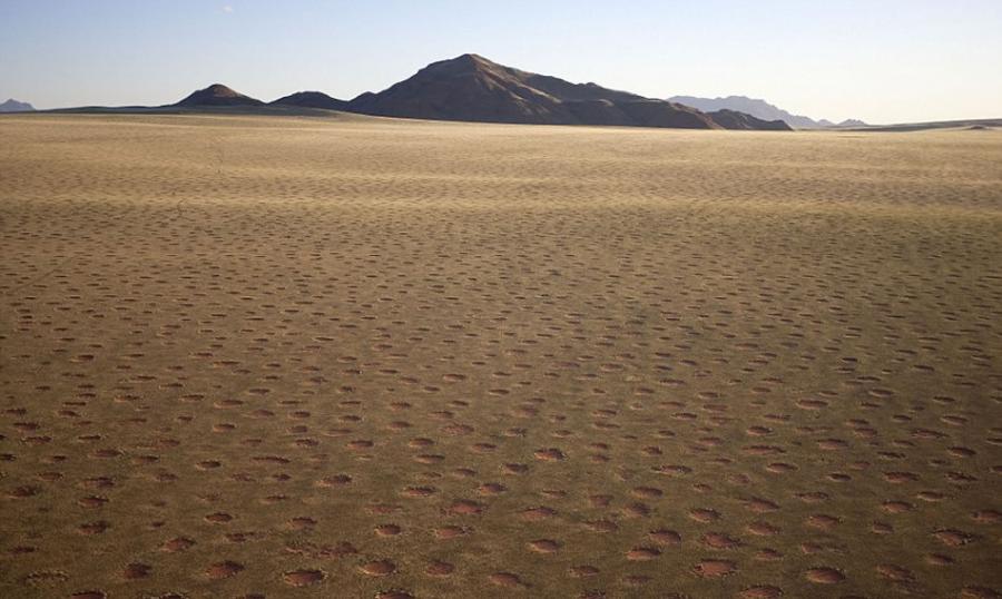 非洲南部纳米比亚荒漠上出现的无数“精灵怪圈”引发许多猜测，包括UFO到访、土壤受到放射性污染、植被竞争营养和水源等