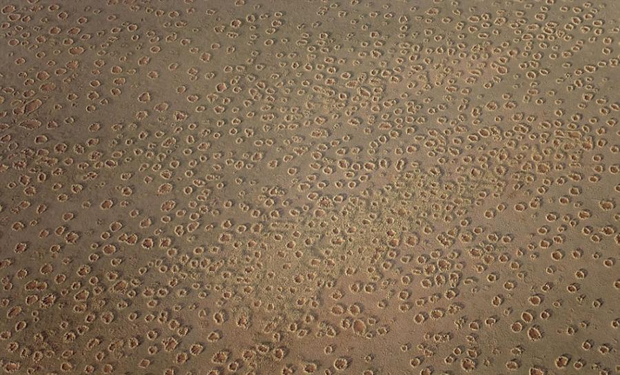 “精灵怪圈”已经困扰科学家们数十年，它们经常在2000公里长的荒漠中出现。当地传说称它们是神明的脚印