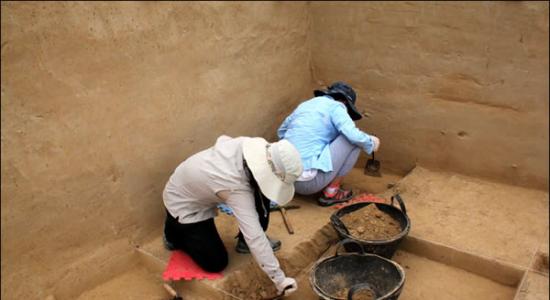 水洞沟旧石器时代遗址进行第六次考古发掘并组织系列活动互动