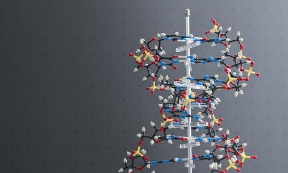 科学家找到一种方法让数字信息在单一DNA分子中储存百万年时间