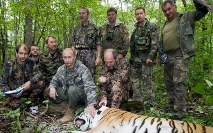 普京（前右二）放生的老虎“鲍里斯”被指在保育公园猎杀一头野熊。图为普京去年5月亲自放生鲍里斯及另外2头老虎。