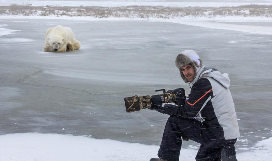 加拿大小镇雪橇犬吓退北极熊