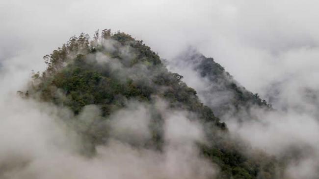 厄瓜多西部的热带雨林属于查科地区，具有丰富的生物多样性。在这些云雾下，该区拥有至少25%的全球植物多样性，还有只在当地栖息的动物物种。 PHOTOGRAPH B
