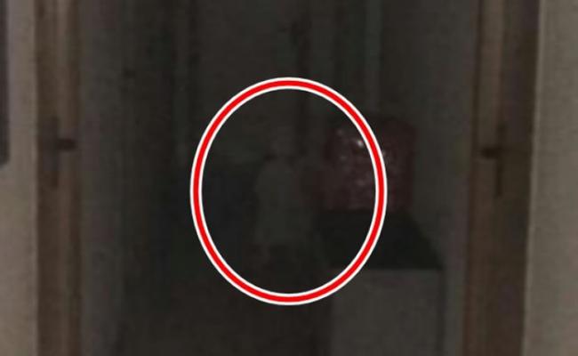 男子从照片发现有小童（红圈）深夜现身市政厅办公室。