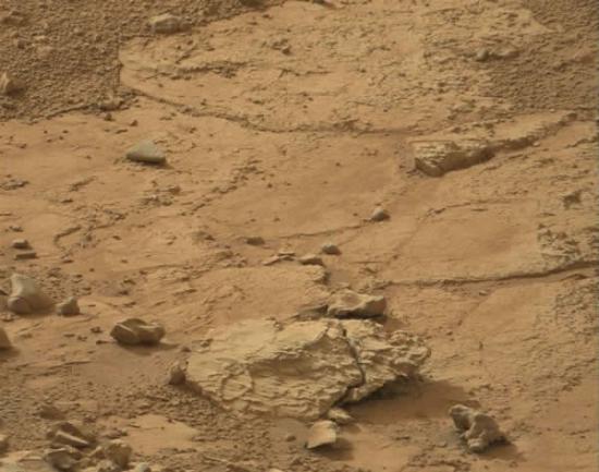 一块酷似地球蜥蜴的火星岩石