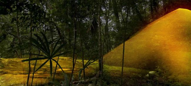 肉眼只能看见丛林及植被茂密的土丘，但光达​​与扩增实境软体显示出一座古玛雅金字塔。 COURTESY WILD BLUE MEDIA/N