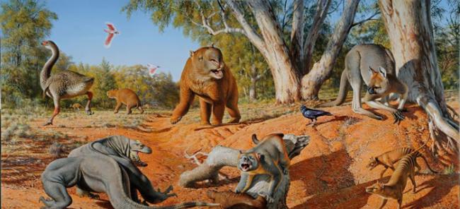 人类的捕猎更有可能是澳大利亚史前大型动物灭绝的直接原因