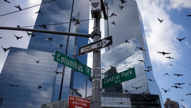 美国摩天大厦玻璃幕墙反射树木倒影导致每年10亿只鸟类撞墙而亡