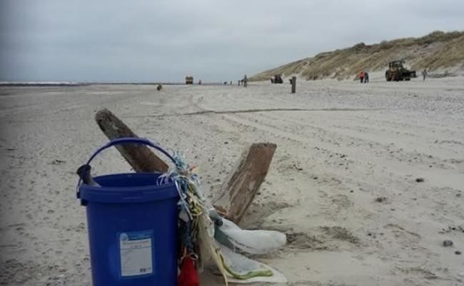 男子拾获瓶中信时，正参与年度的清洁海滩活动。