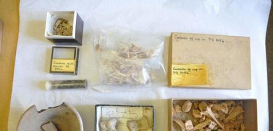 英国布里斯托尔大学清理实验室发现4500年前伊拉克古王墓祭品文物