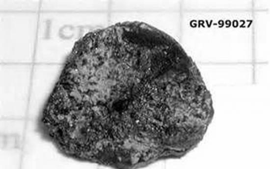 这是2000年2月8日由中国南极考察队在南极格罗夫山地区发现的火星陨石，国际编号GRV 99027