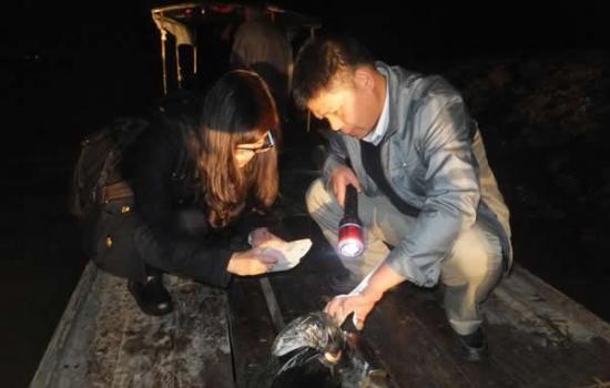 洞庭湖岳阳县鹿角水域发现一头死亡雌性江豚