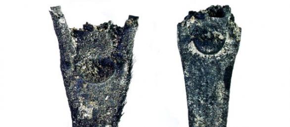 以色列太巴列湖沿岸距今23000年古人类遗址（OhaloⅡ）中发现早期农业迹象