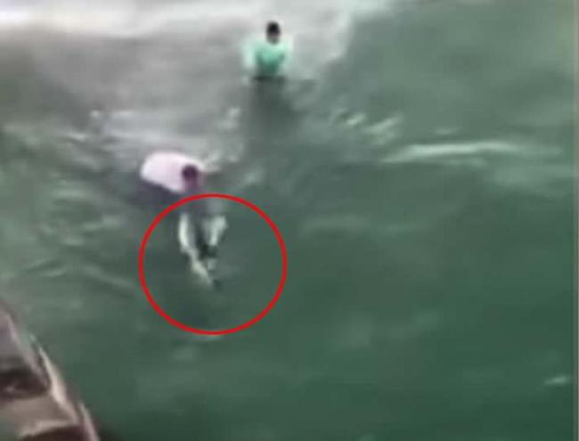 美国北卡罗莱纳州男子在海滩上企图徒手捉住虎鲨 反遭噬咬血染大海