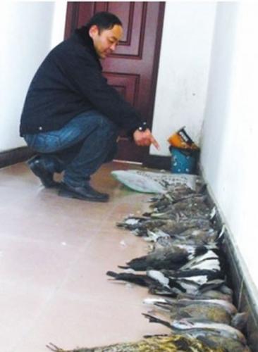 河南省漯河市森林公安局抓获非法捕猎49只野生动物的嫌疑人