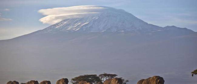 肯尼亚开放《狮子王》经典场景地旅游
