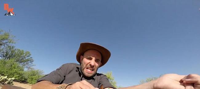 美国野外探险家Coyote Peterson挑战被食蛛鹰蜂螫 痛得滚地大叫