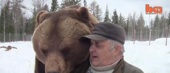 芬兰熊爷爷照顾20只孤儿棕熊