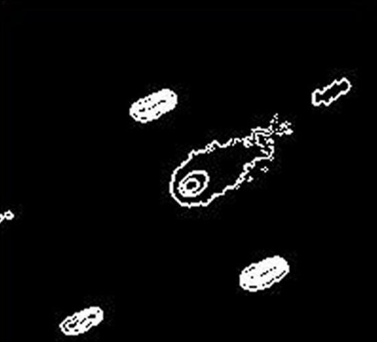 艾松彗星等照度线