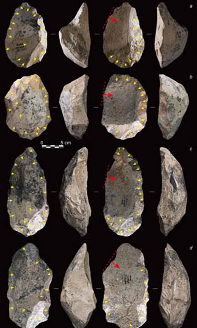 西维多利亚石核举例（黄色箭头代表预制过程中的剥片方向；红色箭头代表优先型大石片的打击方向）（李浩供图）