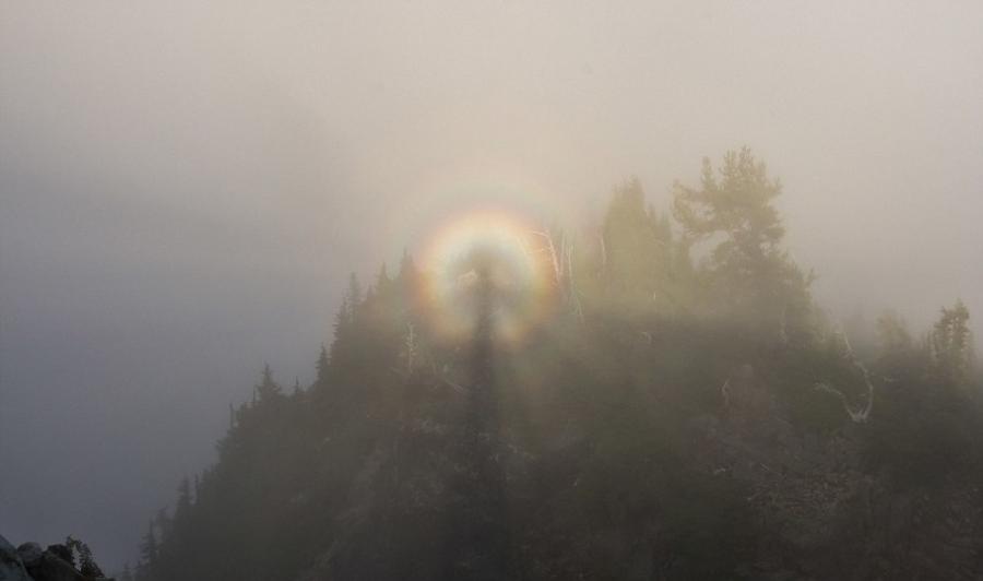 游客在美国瑞尼尔山国家公园内拍摄到“布罗肯幽灵”（Brocken Spectre）“佛光”