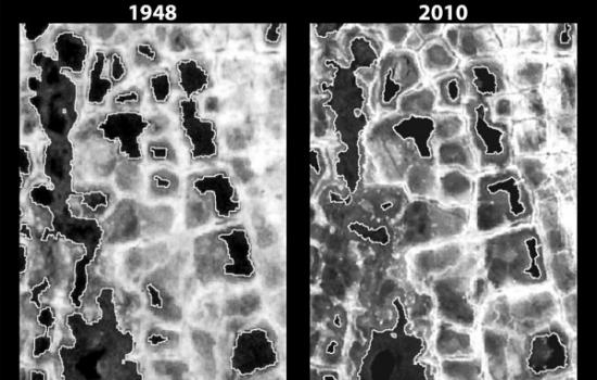1948年航拍的横跨阿拉斯加的巴罗半岛的高分辨率的照片（左）同于2002年、2008年和2010年拍摄的现代化的卫星图像（右图）