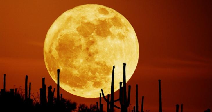 拉文德指，超级月亮离地球近一点，只会令天空更亮更清。