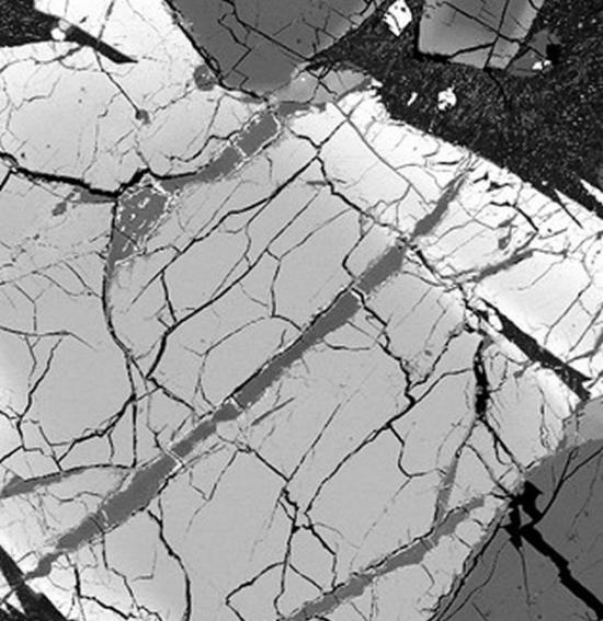 MIL 090030陨石内一些粘土纹理的电子显微镜图片