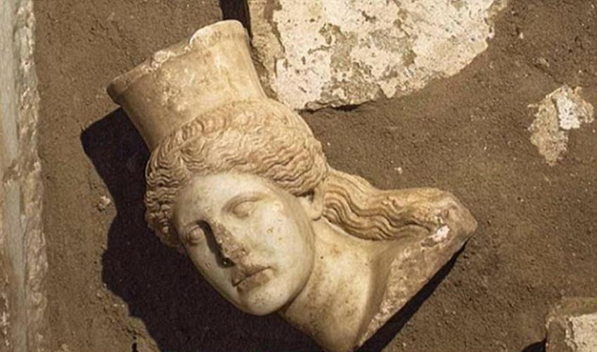 这是装饰在坟墓入口处的装饰性大理石狮身人像的头部，这个雕像遭到损坏，头部掉落在地面上。